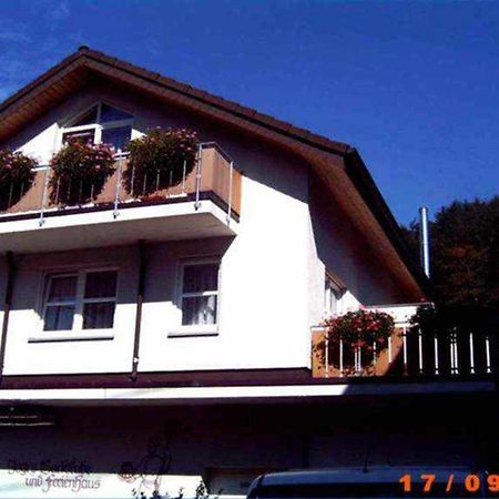 Ferienappartements Bruestle Friburgo em Brisgóvia Exterior foto